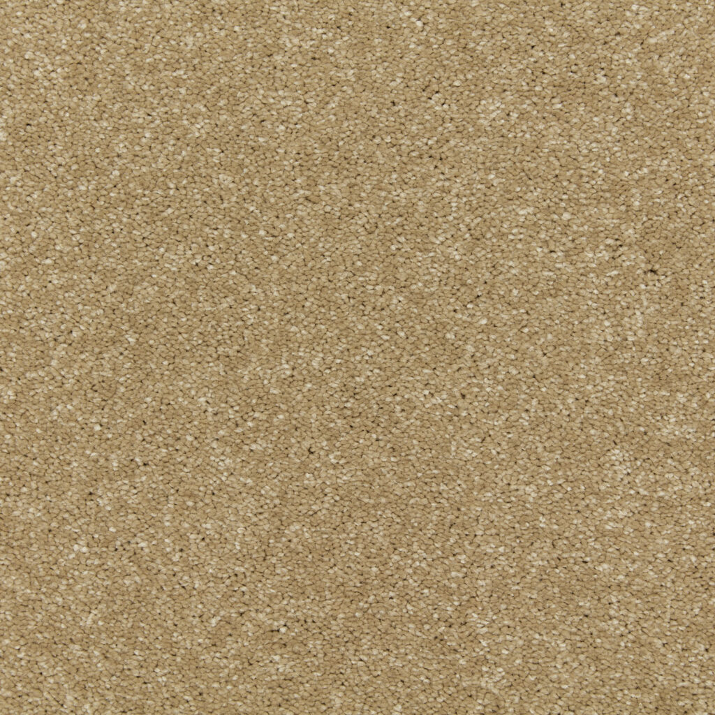 balmoral feather