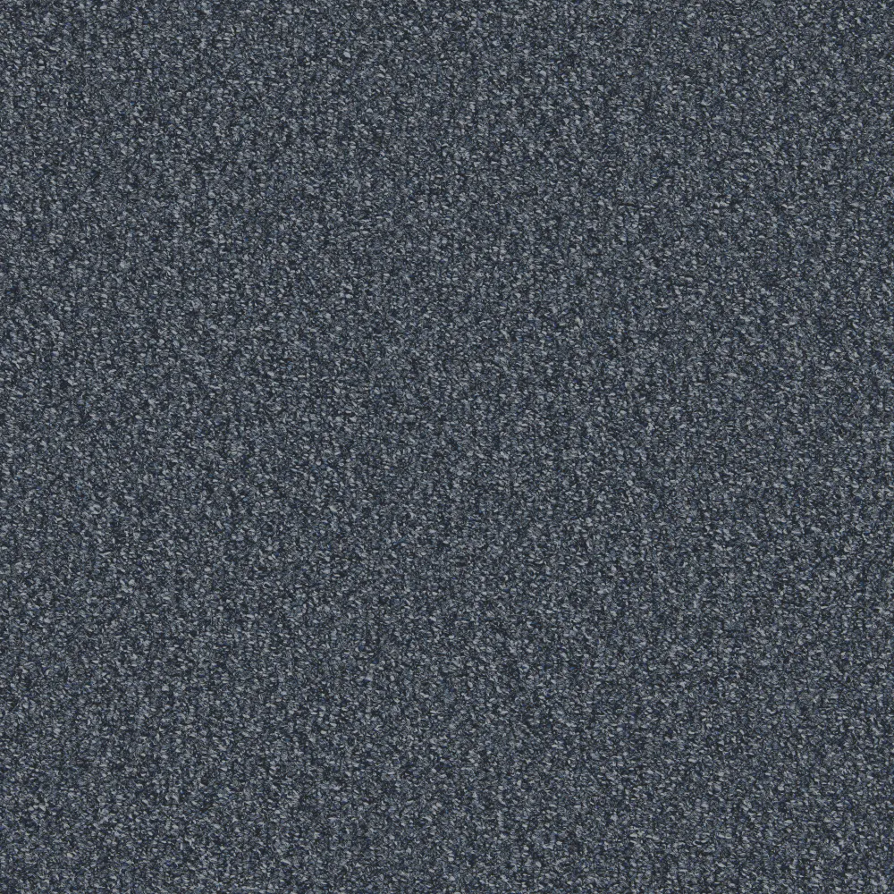 warwick blue