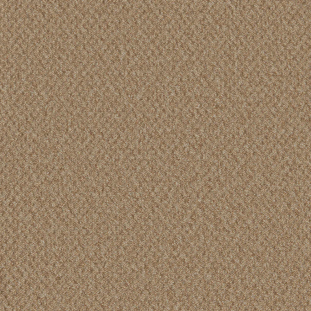 warwick caramel