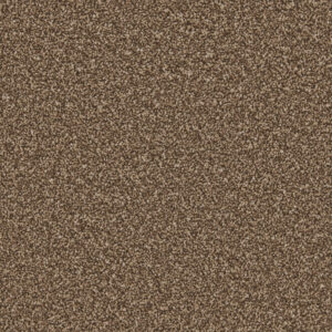 oxford mocha