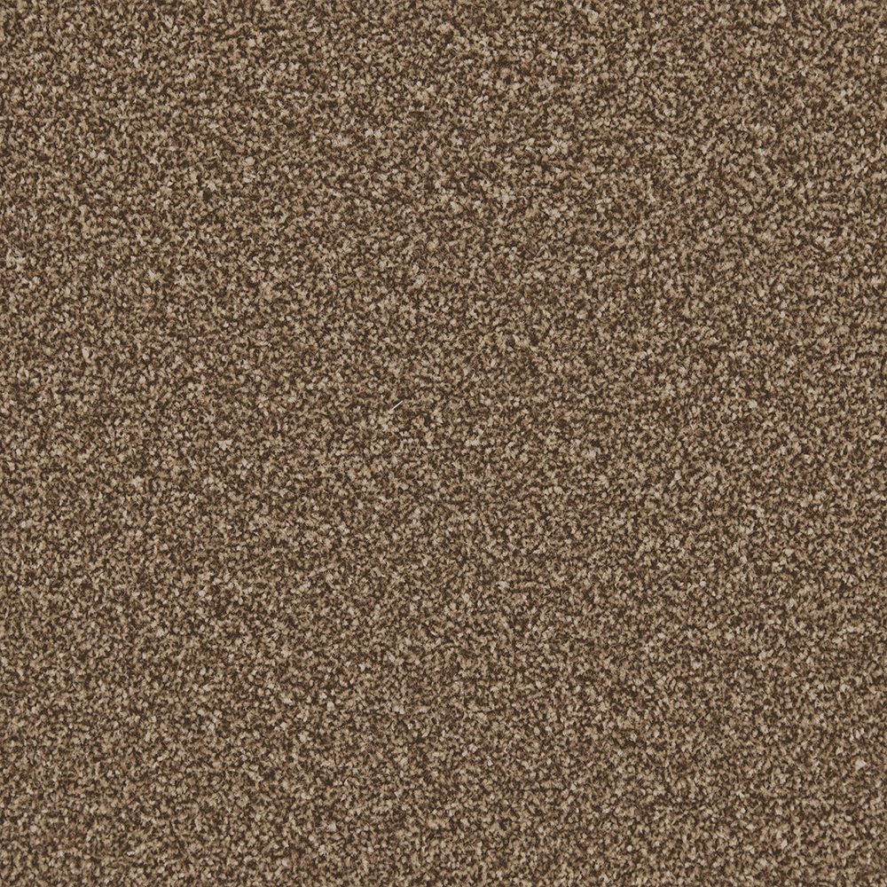 oxford mocha